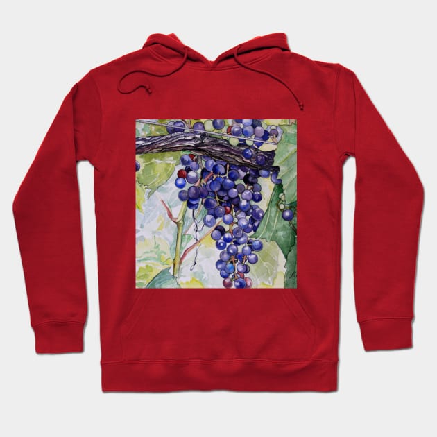 Grapes Hoodie by Zodiart